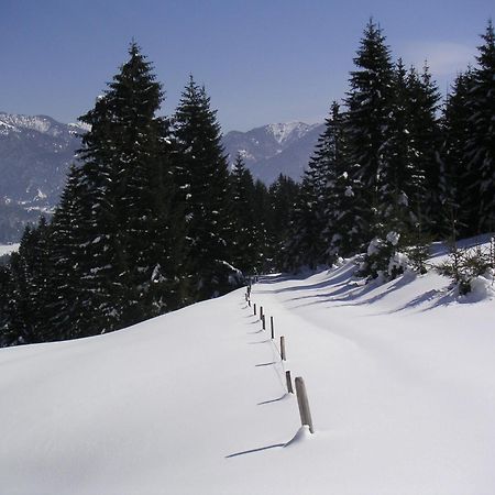 Gintherhof Reutte Zewnętrze zdjęcie
