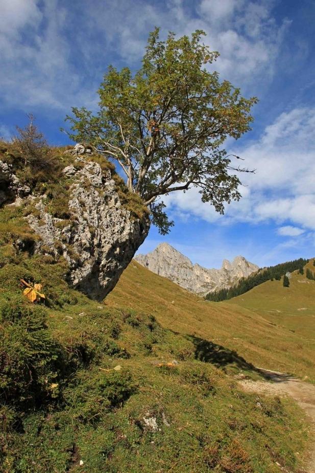 Gintherhof Reutte Zewnętrze zdjęcie
